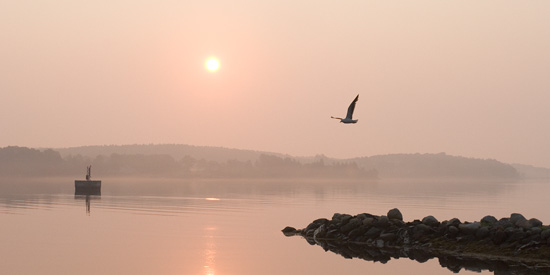 Sunrise, Andrew's Point (photograph copyright Arthur Marshall)