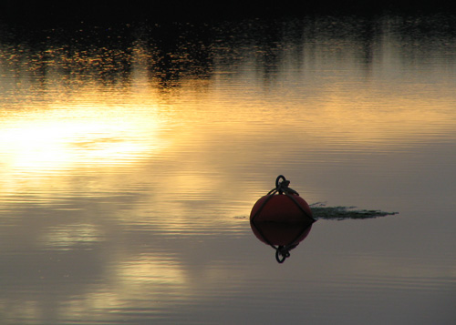 Early Reflection, LaHave River (photograph copyright Arthur Marshall)
