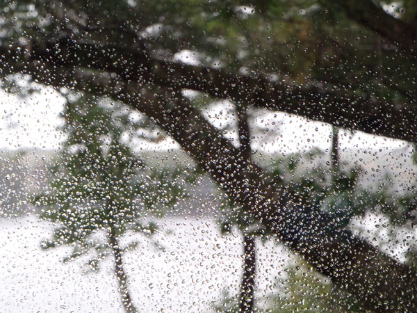Rainy Day (photograph copyright 2011 Arthur D Marshall)